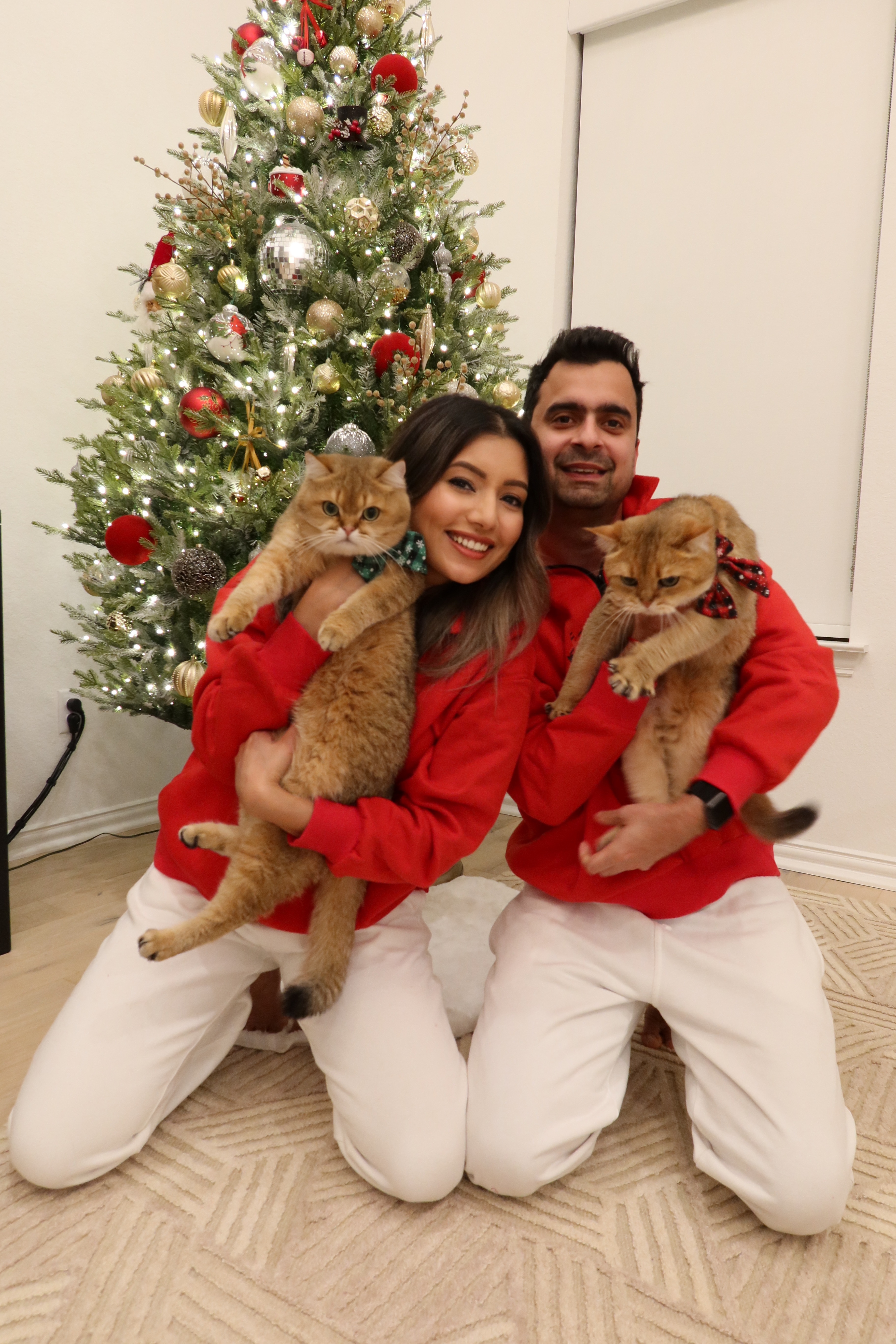 Priya, her husband, Noodle and Bear at Christmas